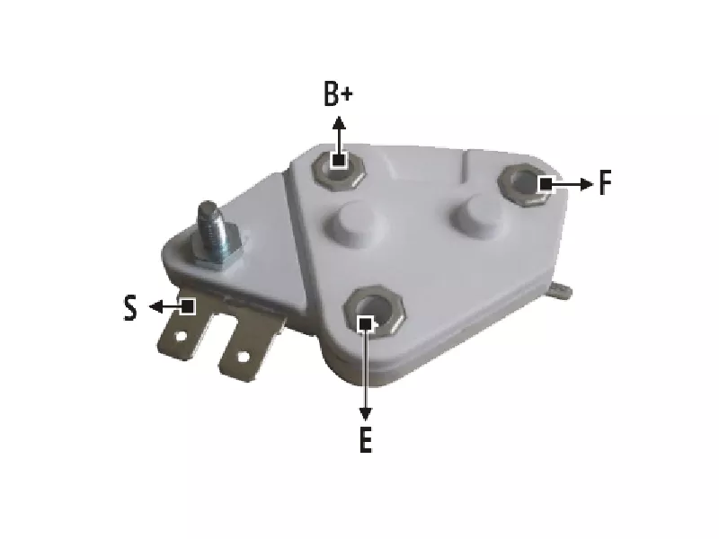 RND 116406          